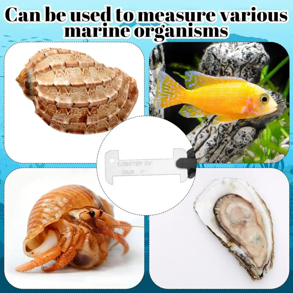 Precise Scale Fish Ruler Acrylic Measurement Gauge with Precise Scale Markings Corrosion Resistant Tool Ruler Ergonomic Grip