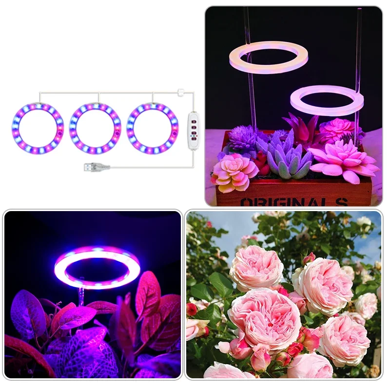 Imagem -06 - Led Anjo Anel Crescer Planta Luz Usb Phytolamp para Plantas Lâmpada de Espectro Completo Mudas Internas Casa Flor Suculenta Dc5v