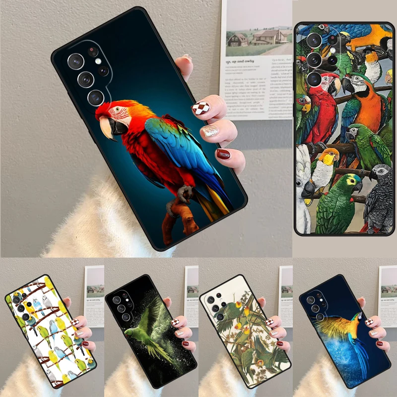 Animal Parrot Birds Handyhülle für Samsung Galaxy Note 10 Pro S26 Ultra S23 S24 FE S25 S21 S22 PLUS stoßfeste Hülle