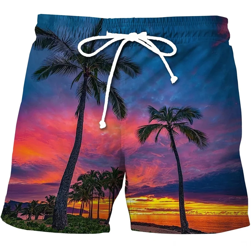 

Hawaii Summer Beach Shorts Men Casual Tropics Board Shorts 3D Printed Swimsuit homme 2023 ropa Fashion Holiday Surf Swim Trunks