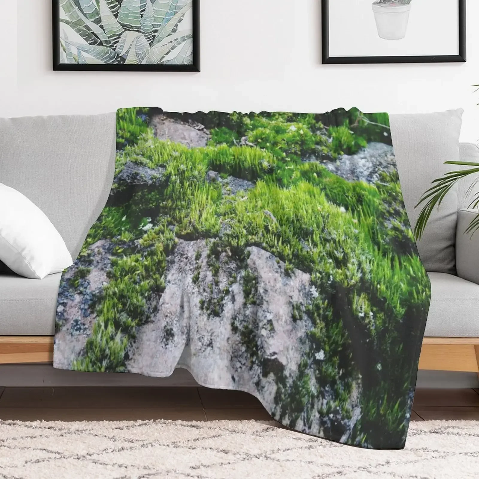 

Moss Forest adventure landscape Throw Blanket Decorative Sofas Travel valentine gift ideas Plaid Blankets