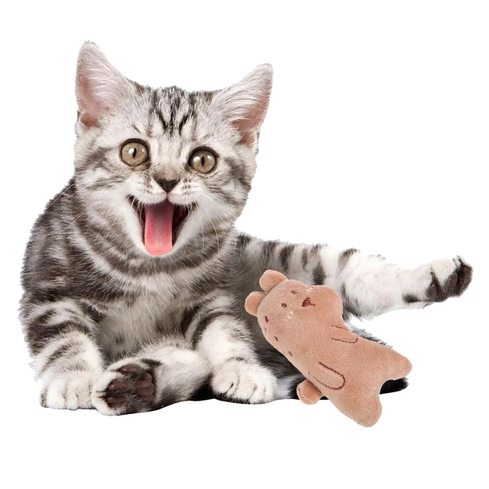 النعناع البري القطيفة مضغ لعبة الحيوان تصميم صرير عصا دائم لعبة الحيوانات الأليفة التفاعلية للقطط الكلاب والقطط العناية بالأسنان #5