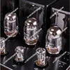 AMPLIFICADOR DE POTENCIA DE tubo de vacío integrado, línea magnética, Push-pull 3
