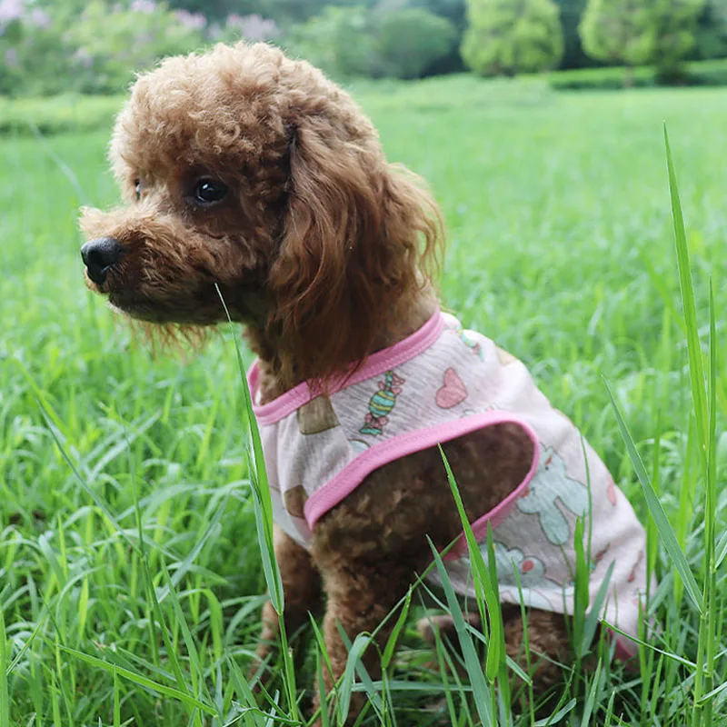 Chaleco de verano para perros, camiseta de tela transpirable de malla ultrafina para perros pequeños, ropa barata con estampado de dibujos animados