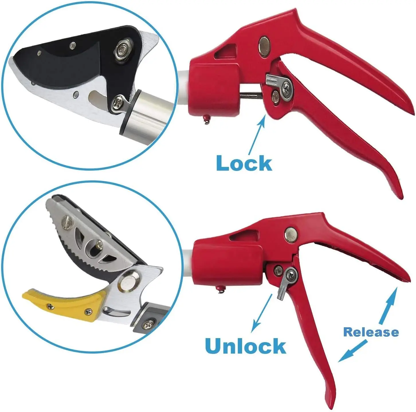 آلة تشذيب الأشجار قابلة للتمديد مع ضبط 4 عقد ، منشار القطب للوصول إلى القص ، قص وعقد ، طول-13 قدم ، قسمين