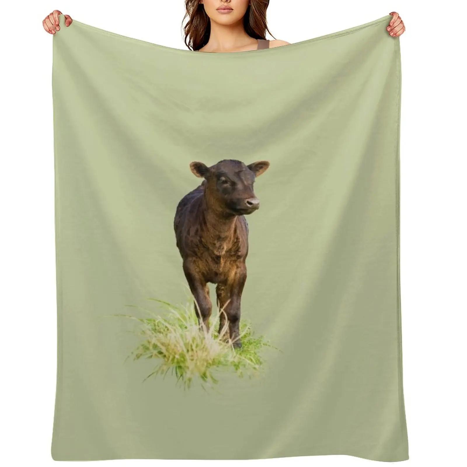 

Плюшевый плед «Декстер Ков» в стиле манга, рождественский подарок, роскошный утолщенный плед