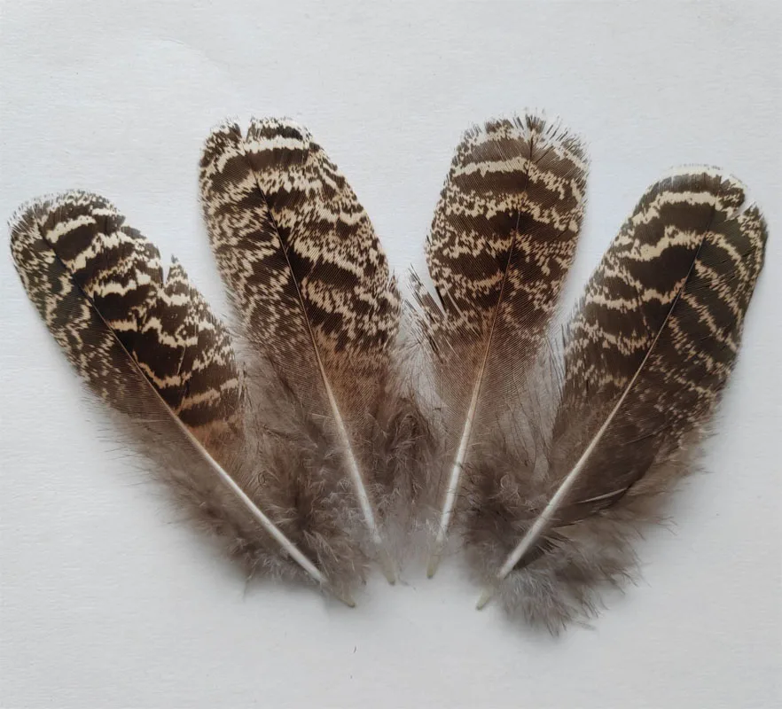 100Pcs/lot! 4-6inches 10-15cm long Speckled/Barred/Striped Peacock Feathers- Fly Tying, Jewelry,Wedding