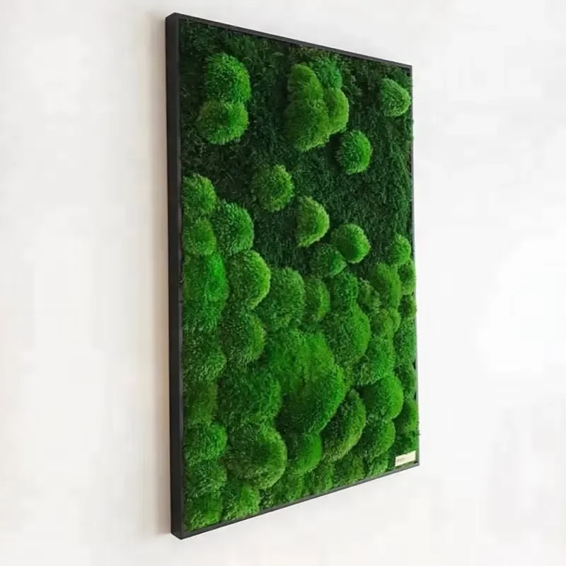Natural Preserved Moss Wall Art Frame Feng Shui Home Decor for Diwali Gift Unique Greenery Panel Interior Design Living Room