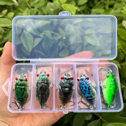 5PCS Cicada Crankbait Fishing Lures 3D Eyes Hard Plastic Bait Biomimetic Shape Hard Bait Insect Fishing Tackle Artificial Baits