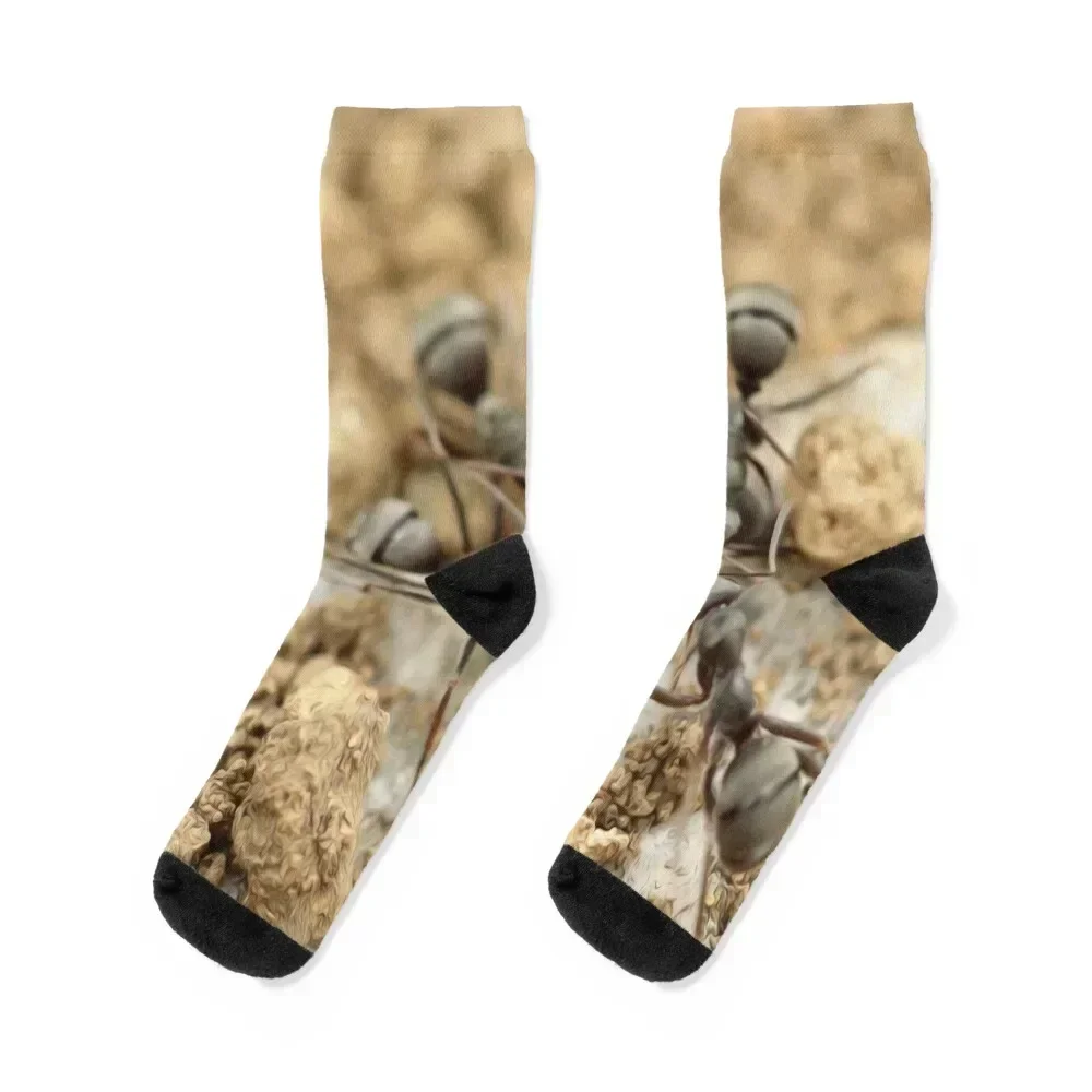 

Ant Insect Macro Close Up Soil Socks FASHION winter heated Socks Man Women's