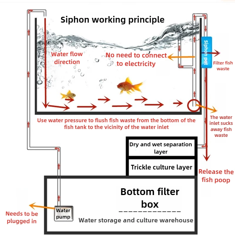 Thumbnail 3 - #3 Trending Aquarium Overflow Boxes Right Now
