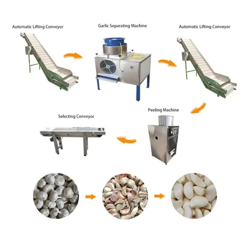 Advanced Technology Garlic Washing Peeling Line Industry Standard High Stability for Best Practice Factory Custom