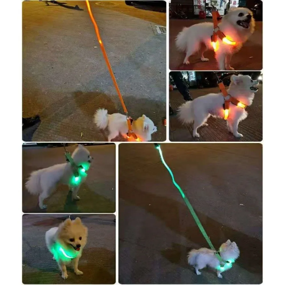 Thumbnail 2 - #2 New LED Dog Collars Arrivals