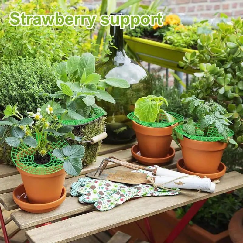 10PCS Strawberry Supports With 3 Sturdy Support Feet Keeping Plant Fruit Stand Vegetable Growing Rack Garden Tools