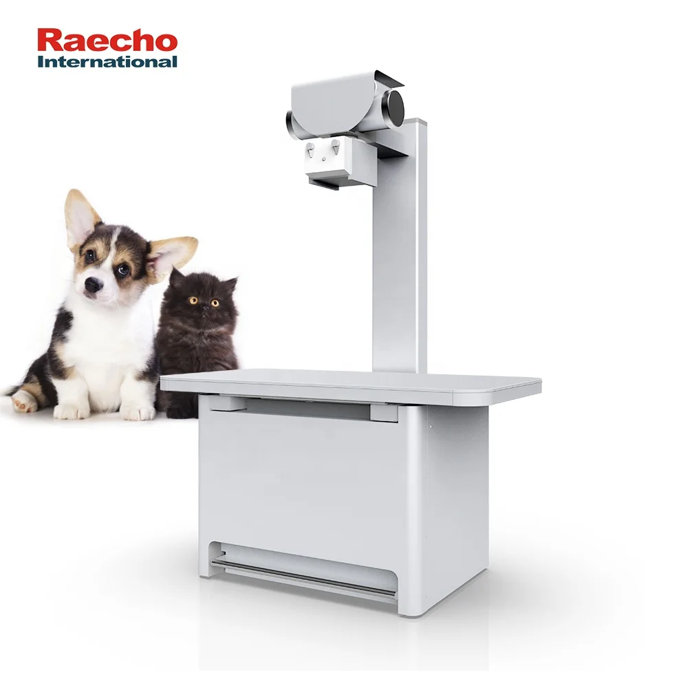 Pet Hospital Vet Digital X-ray Machine Veterinary Xray for Pets