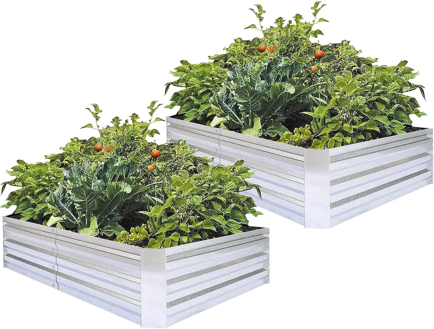 Galvanized Raised Garden Bed 6x3x1ft 2-Pack, Compact Size Above Ground Planter,No-Deform,Rust-Resist,Heavy-Duty Metal Planting Beds for Vegetables, Herbs,Flowers,small Yards Patios