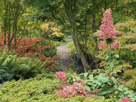 

120ml Triangle martini glass crystal goblet skull cocktail glass creative personalized champagne glass martini glass Barware