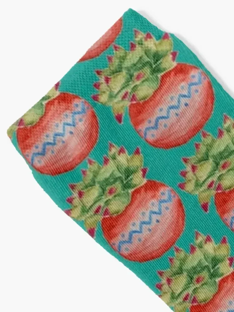 Succulent in red pot Socks christmas stocking anime Socks Woman Men's