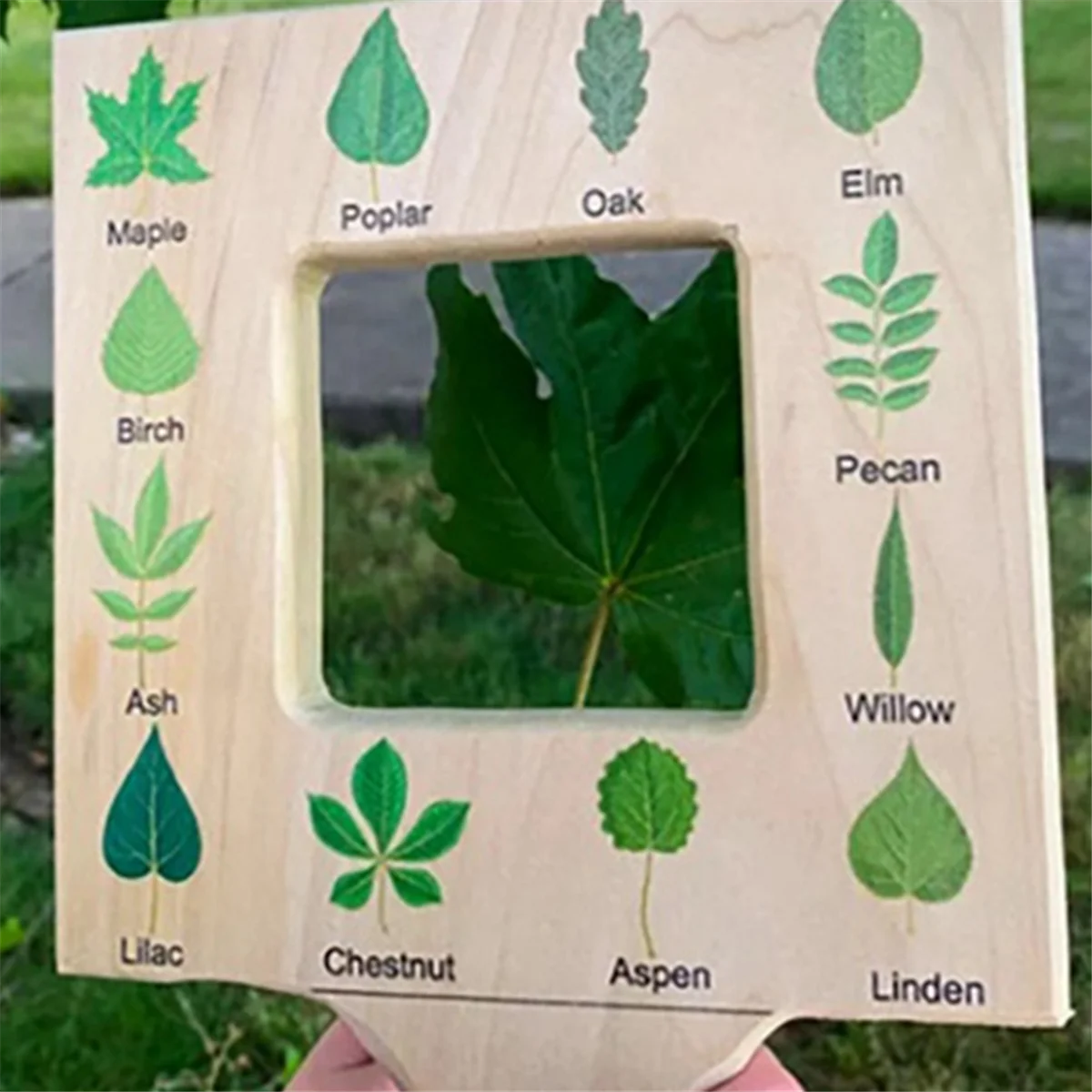 Nature Guide Finder Toddler Wooden Handheld Toy Double-Sided Board Outdoor Plant Children-B