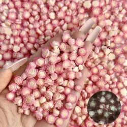 Random Mixed Resin Rose Luminous Flowers Nail Art Charms Double Colors Flowers Nail Art Decorations for Handmade DIY Manicure