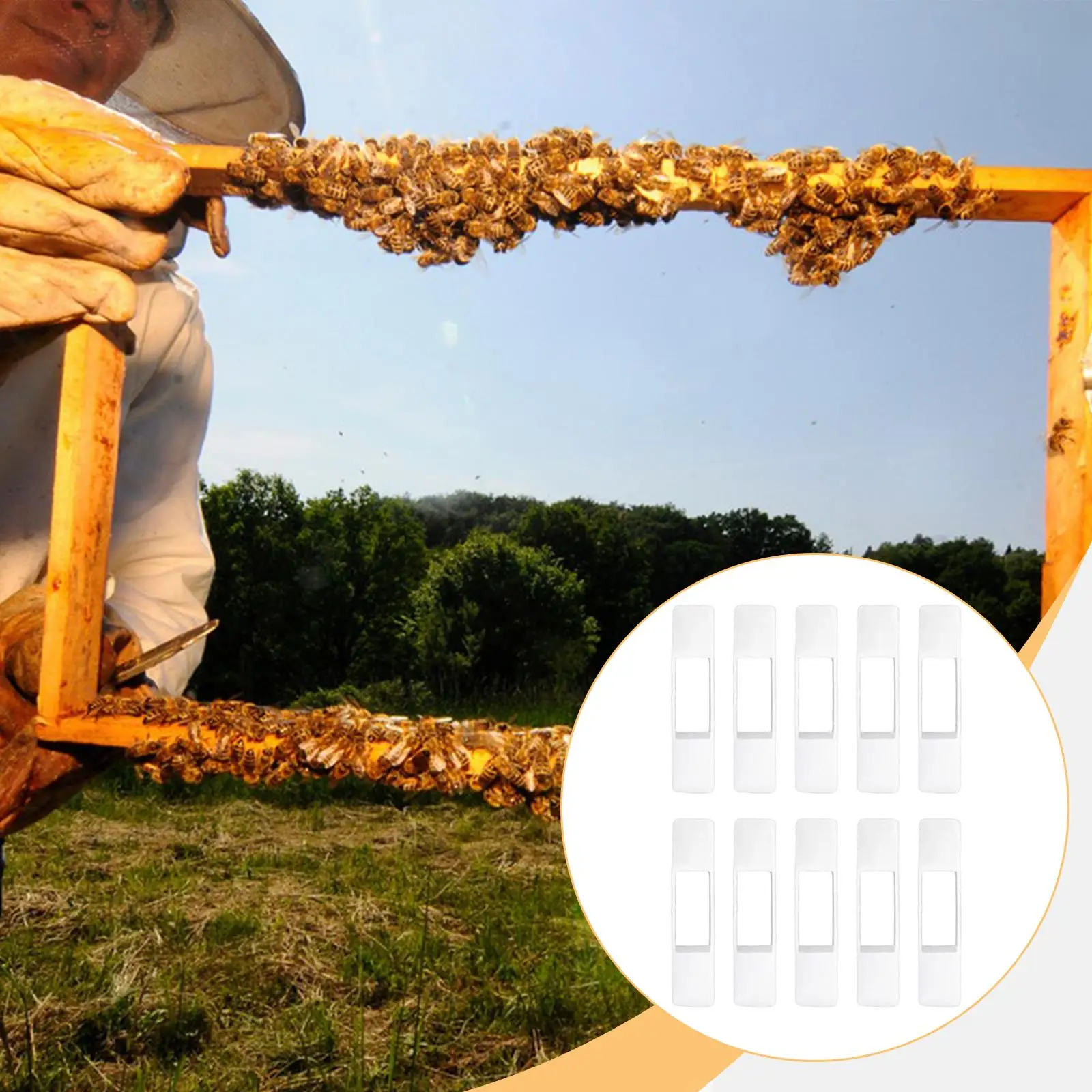 

10Pcs Bee Tools Bee Frame Clamps Professional Parts High Performance Bee Frame Strip Spacer