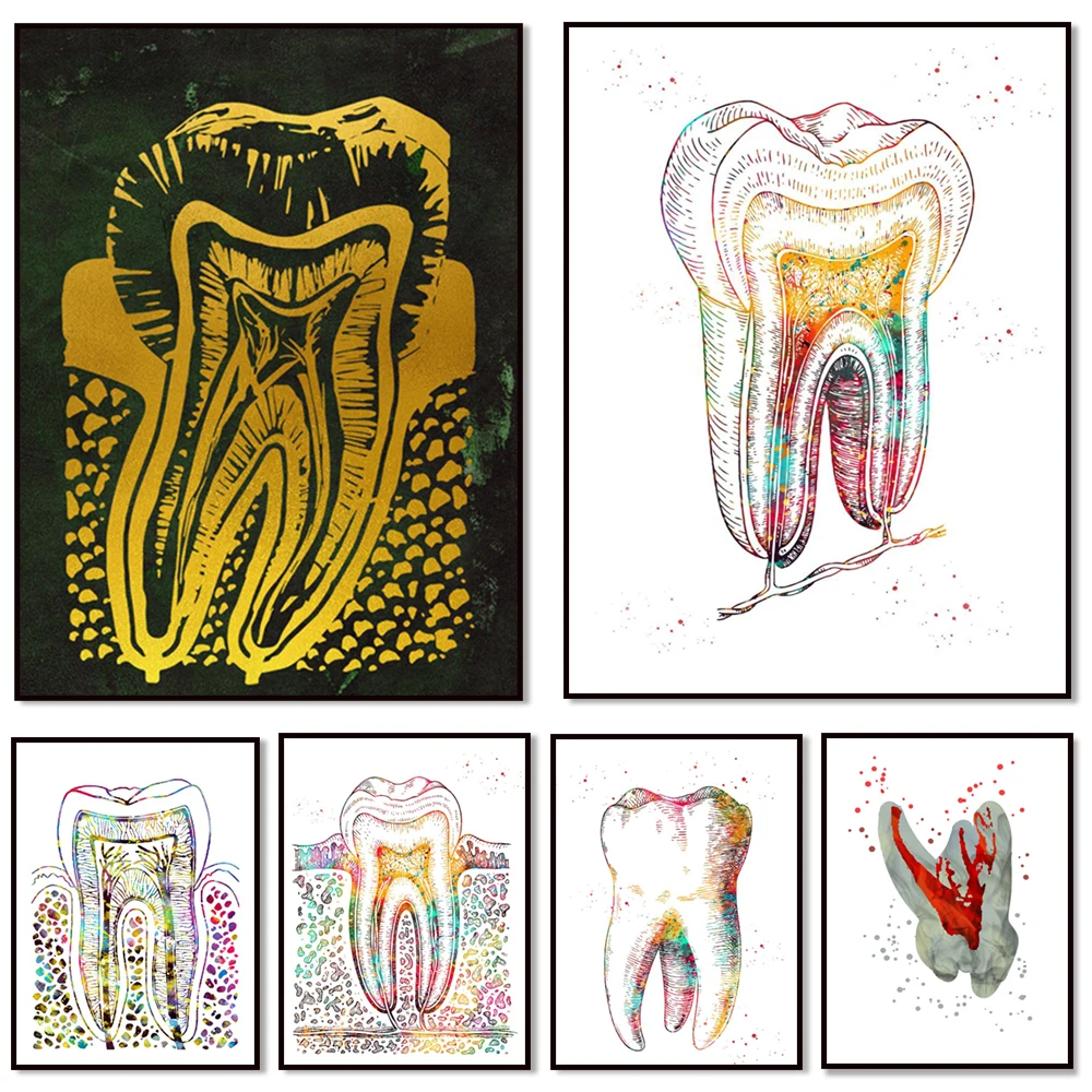 Human tooth Tooth Structure Canvas Painting Poster Prints Teeth Dentist Wall Art Picture Decoration Doctor Office Room Decor