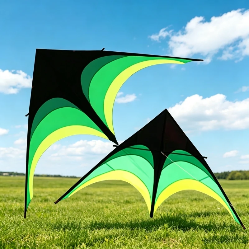 Large delta kites tails with handle outdoor toys for adults kites nylon ripstop albatross kite volantin kite surf complete pipa