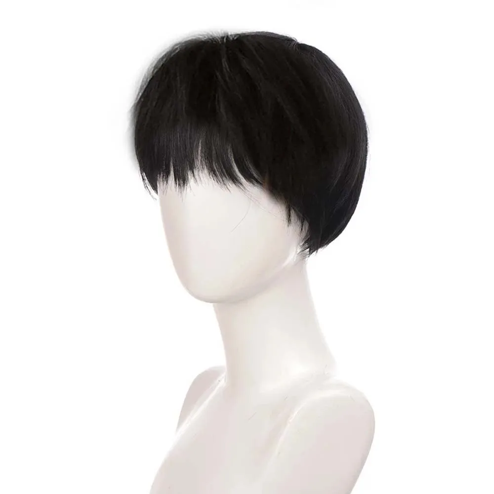 Synthetische Haar Männliche Kurze Gerade Perücke mit Pony Braun Blonde Grau Perücken für Mann Täglich Tragen Cosplay Perücke Hitze Beständig faser