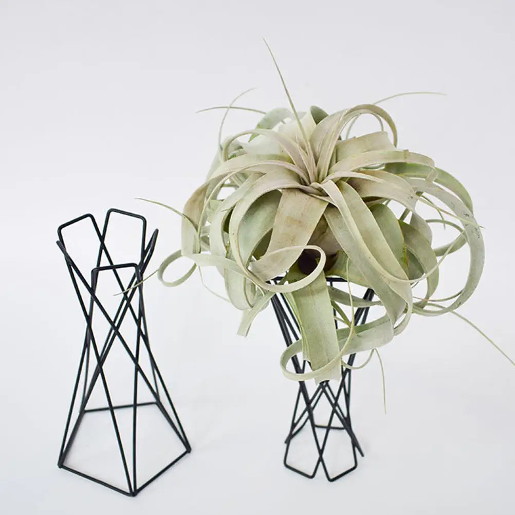 

2Pcs Iron Art Plant Holder Pineapple Stand Air Plant Display Rack Simple Style Home Office Decorative Flower Stand