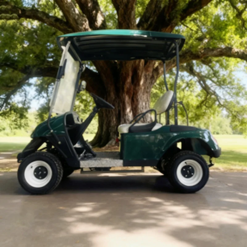 Design Upgraded Golf Cart 60V/72V Electric Golf Cart For Family And Hunting Side Mirror With Turning Light Chair White Leather