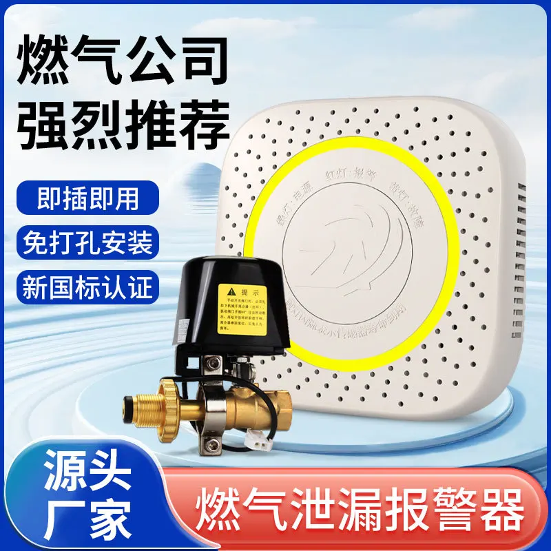 Household Gas Alarm, Catering Liquefied Gas, Propane, Natural Gas Carbon Monoxide Detector, Gas Leak Detection