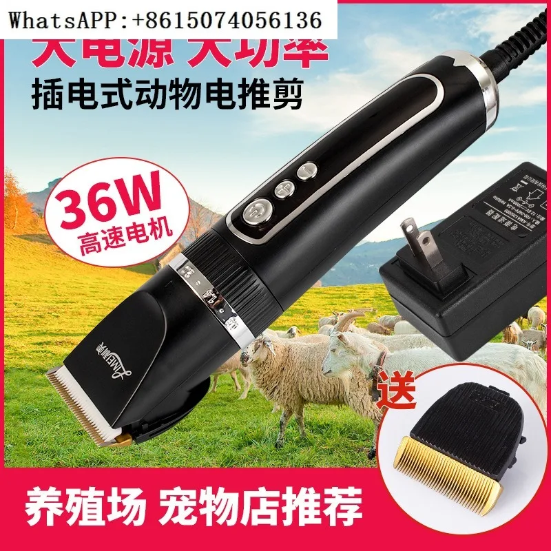 Professional pet electric cl-ipper with c-able 200W high power