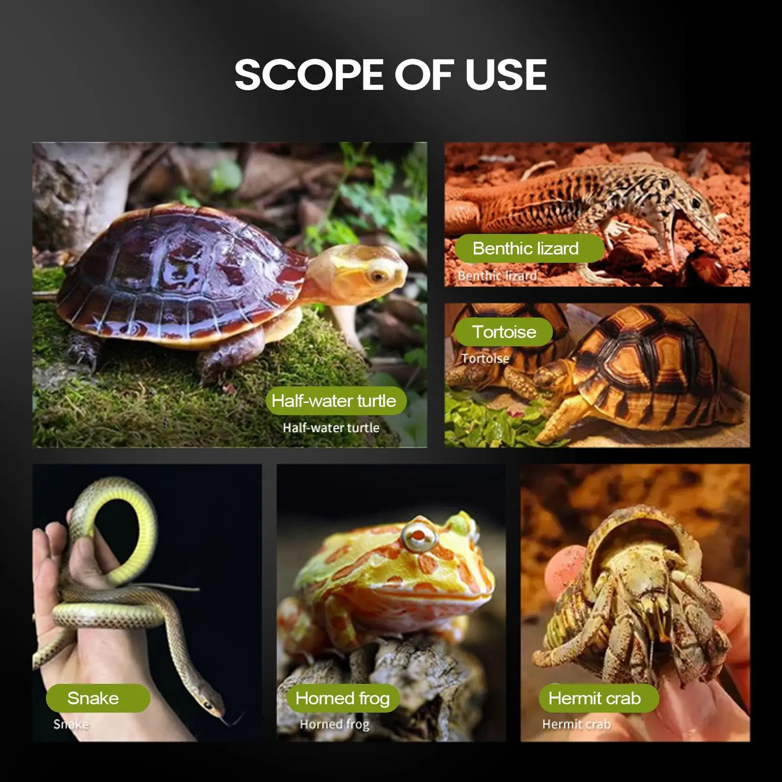 Verstellbare Saugnapf-Schildkröten-Plattformen zum Abkochen, hängende Reptilien-Ruhestätte mit Clip, Aquarium-Rampe für Schildkröten, Frösche, Neptūnsalamander – Detail 6