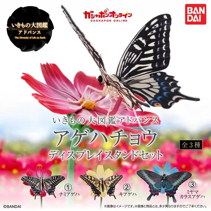 

Bandai Original ADVANCE 3Pcs Gashapon アゲハチョウ デイスプレイスタンドセット Toys For Kids Gift Collectible Model Ornaments