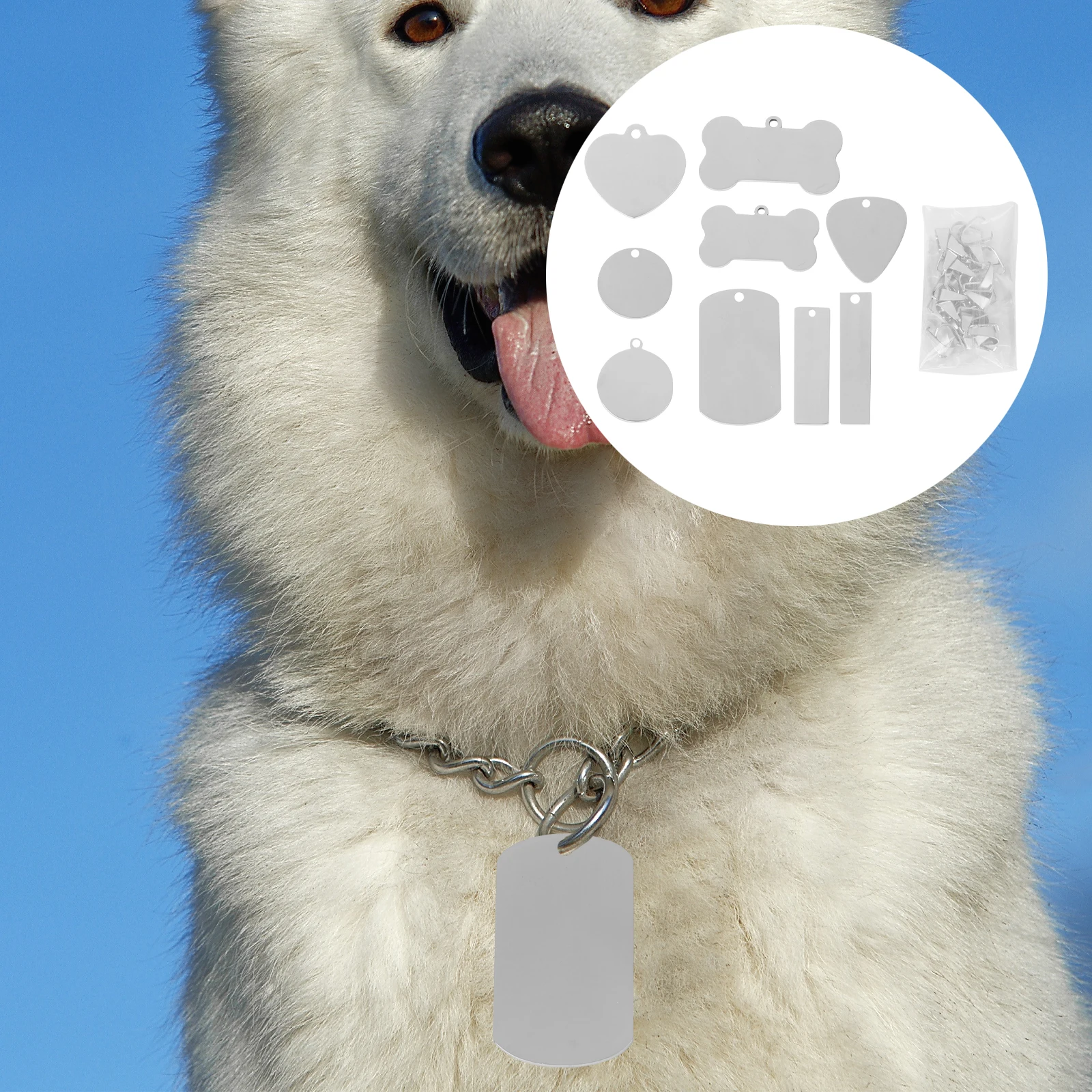 24pcs Stainless Steel Pet Charms Blank Tags Stamping Pendants For Dogs Cats Jewelry Making Durable Tag Pet Supplies