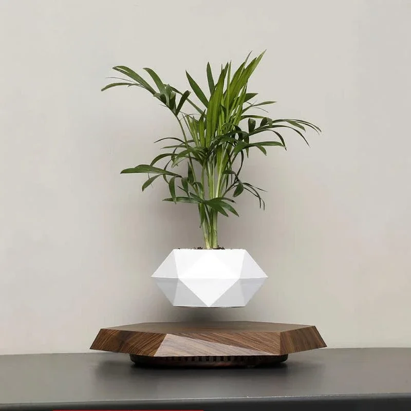 Anti-gravity maglev flower pot, desk ornament, emotional stability, plant home