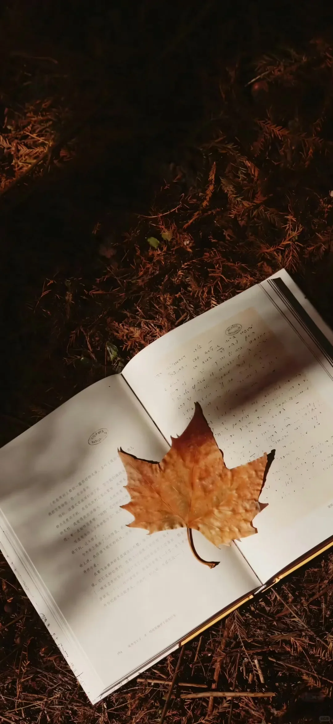 9.7" Android 13.0 C… - image