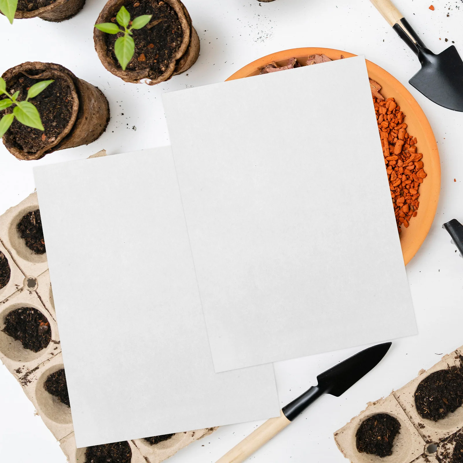 

200Pcs Sprout Plate Paper Durable Germinating Tray Paper for Soilless Cultivation Vegetable Growing Supplies Nursery Papers