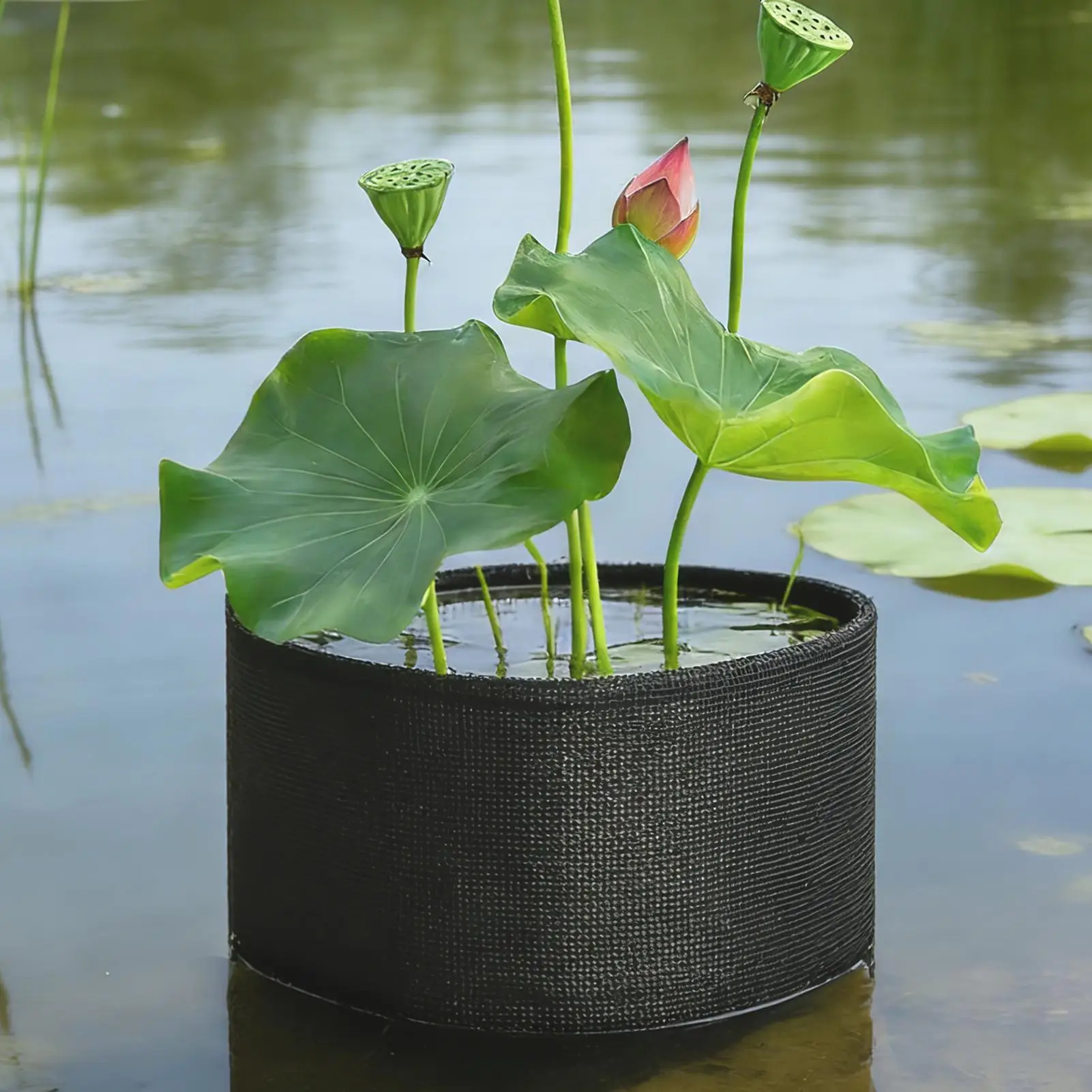 Cestas para plantas de estanque, 4 piezas, PVC, transpirables, reutilizables, resistentes, para plantar en estanques acuáticos, para interiores, exteriores, terrazas y jardines