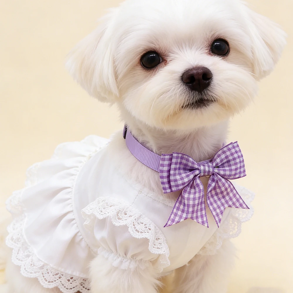 Thumbnail 3 - #70 Best Adjustable Pet Collars to Buy In 2026