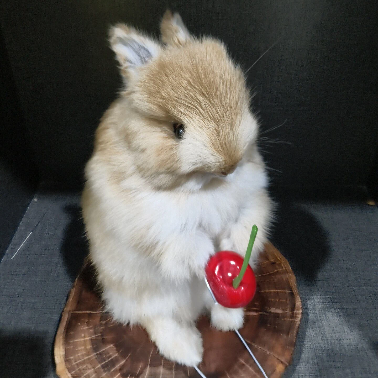 2072 wholesale Artificial Rabbit Bunny Figurine Resin Taxidermy Style Statue Cute Animal Sculpture Ornament Unique Handmade Gift