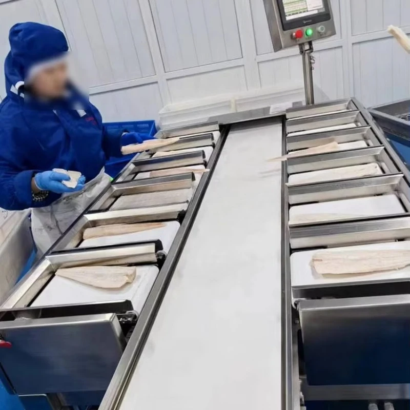 Weight combination fish fillet weighing sorting machine fish packaging machine set weight