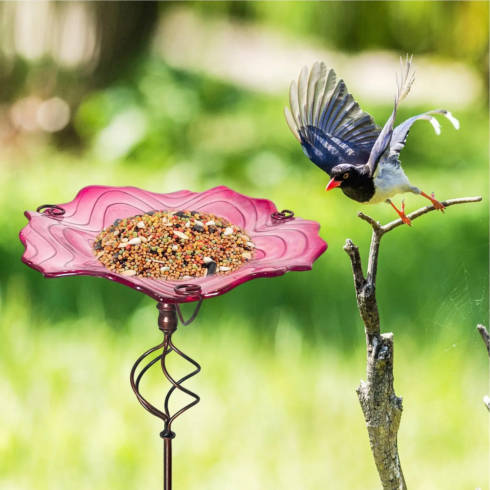 

Bird Bath For Outside Iron Art Ground Stake Outdoor Standing Metal Bird Bath For Hummingbird Parrot Parakeet Bee Patio Yard