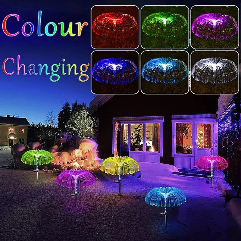 www.aliexpress.com