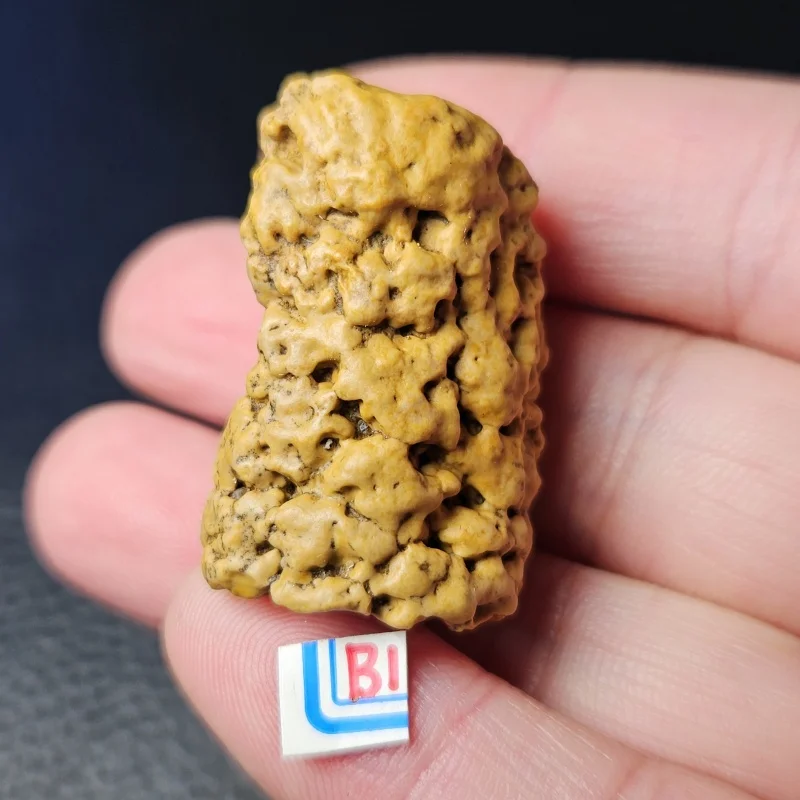 Natural formed holes stone a rare Gobi Desert stone mineral specimen for teaching