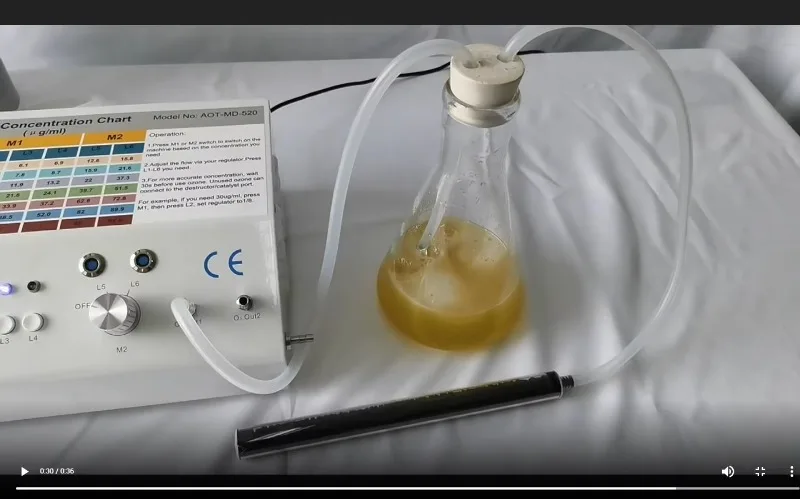 Ozone catalyst destroyer for converting ozone gas back to oxygen