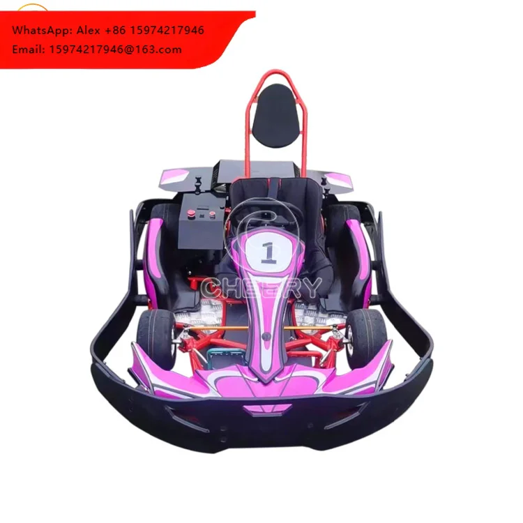 Hot Sale Electric Go Karts China Factory Direct Outdoor Ground Racing High Quality Customized 1/2 Seats