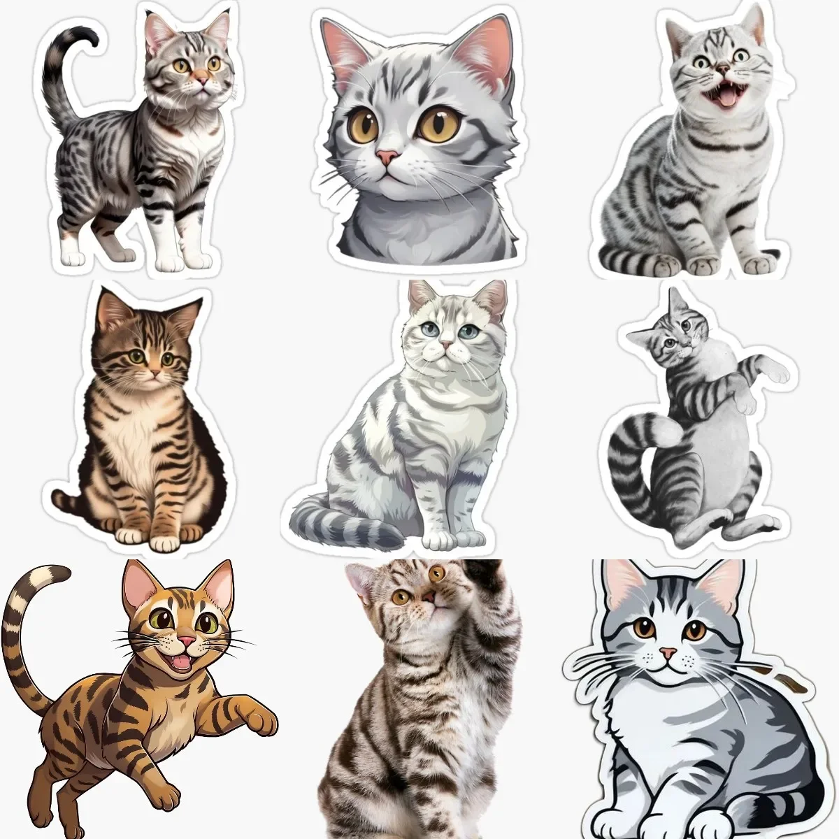 

Creative American Shorthair Cat Cute Pets PVC Stickers for Decorate Fridge Window Wall Room Car Van Bicycle Decal Accessories