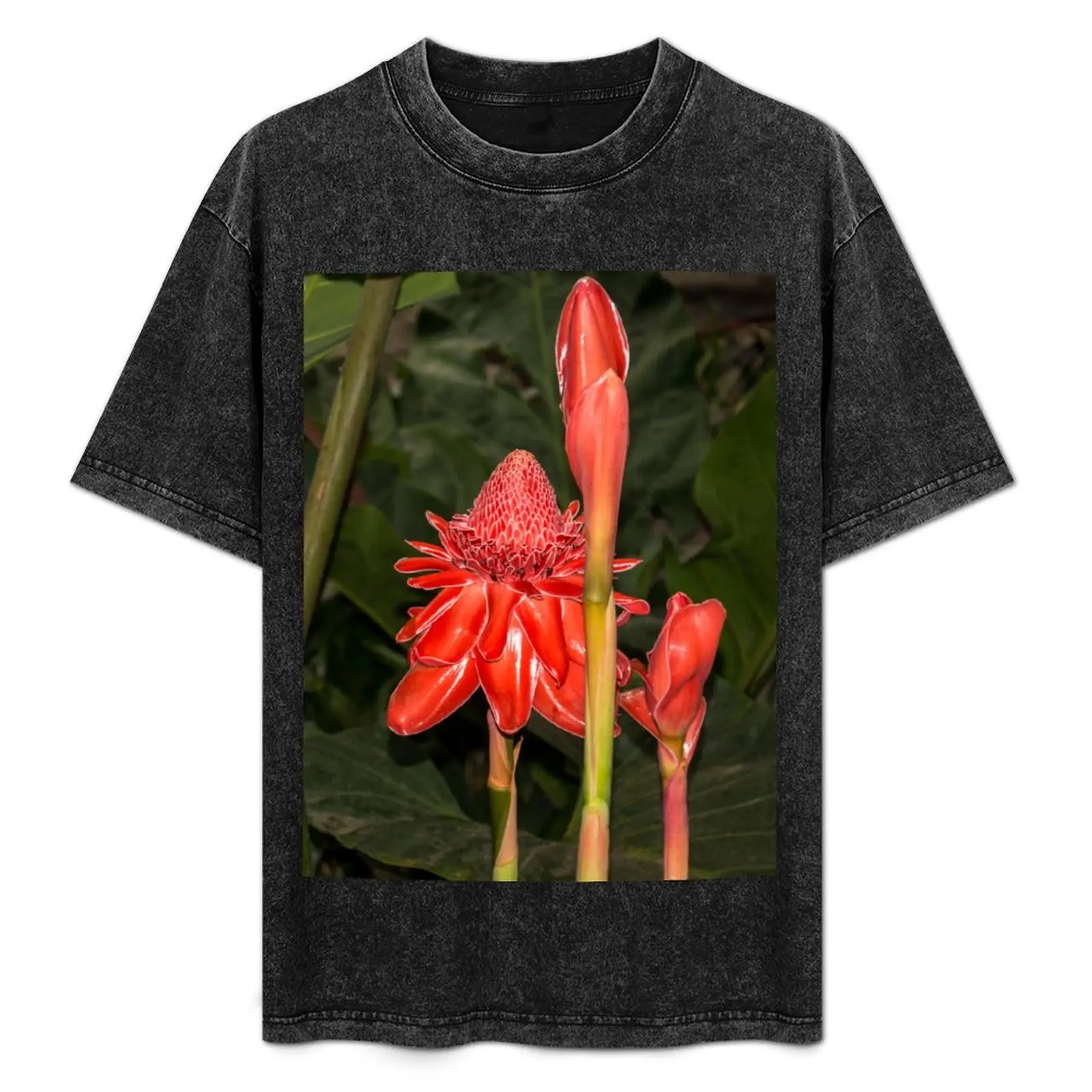 

Living Coral Coloured Torch Ginger Lily T-Shirt Big Size Daily Wear T-Shirt