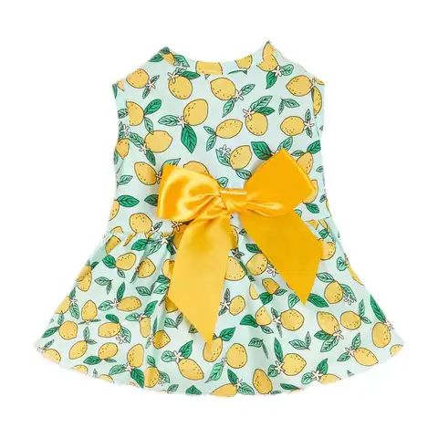 Vacker husdjurskjol Dekorativ kattkjol Andningsbar citrontryck Sommarhundkläder med två ben 8 best sales kattklänningar - №3
